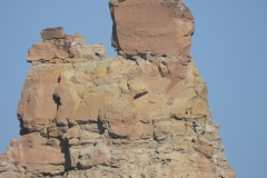 DSCN0002